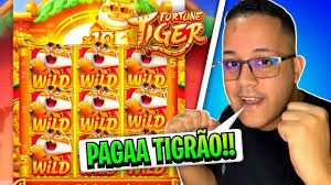 demo slot pg fortune tiger para mobile